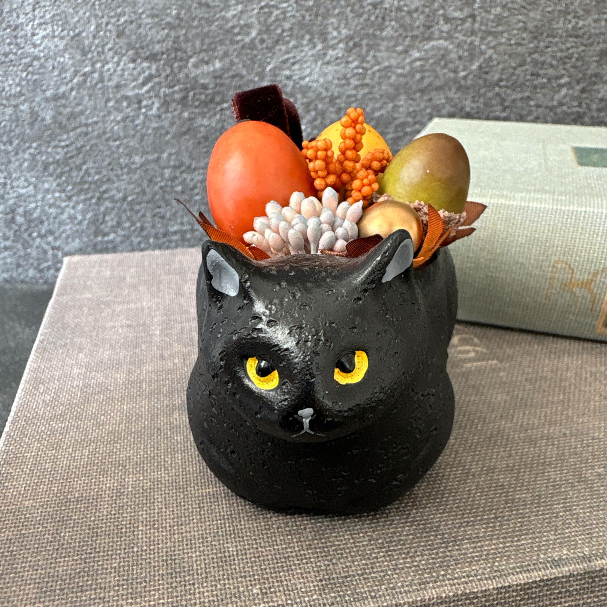 黒猫さんの秋の収穫・かぼちゃ祭り | 5枚目